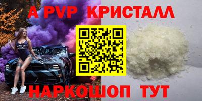 тгк Новозыбков