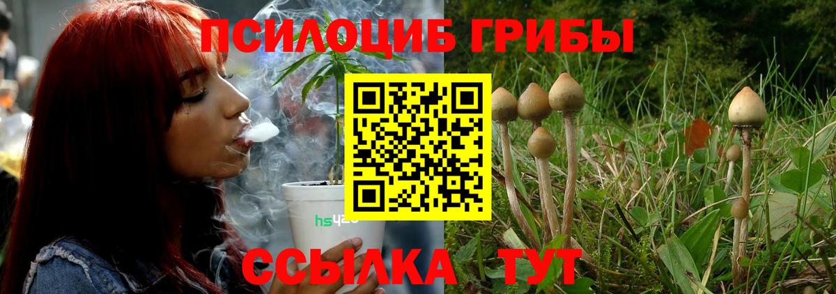 Псилоцибиновые грибы прущие грибы  Вход с VPN  Тихорецк 